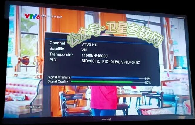 东经132度Vinasat-2卫星越南VTV国家电视台更换全新台标!已运营56年!