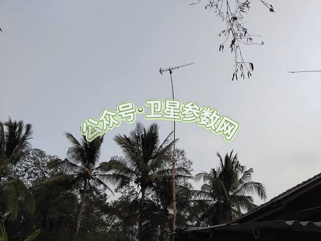 竹竿天线架设现场